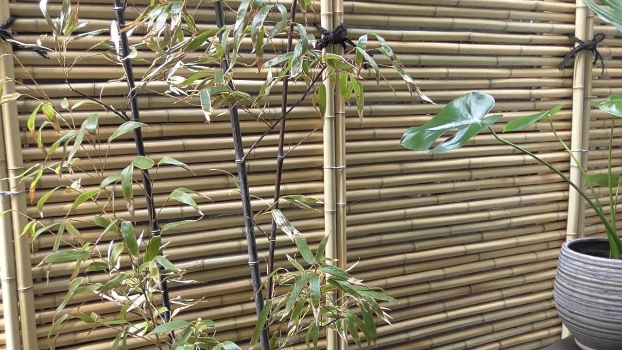 Villa Daimaru-Un Kanazawa Esterno foto